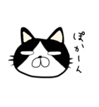 にゃんごろーと言う名の猫（個別スタンプ：5）