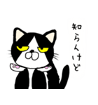 にゃんごろーと言う名の猫（個別スタンプ：13）