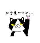 にゃんごろーと言う名の猫（個別スタンプ：16）