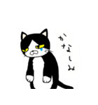 にゃんごろーと言う名の猫（個別スタンプ：27）