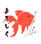 年中金魚（個別スタンプ：4）