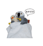 おれたちヨウム（個別スタンプ：24）