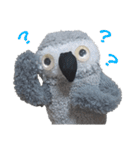 おれたちヨウム（個別スタンプ：35）