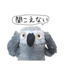 おれたちヨウム（個別スタンプ：36）