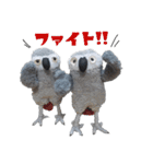 おれたちヨウム（個別スタンプ：38）