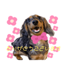 ねねスタンプっ！（個別スタンプ：3）