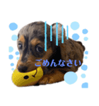 ねねスタンプっ！（個別スタンプ：7）
