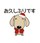 ダックスフンド 年賀/クリスマス等も 冬（個別スタンプ：17）