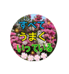 キラキラらぷりー（個別スタンプ：5）