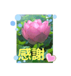 キラキラらぷりー（個別スタンプ：7）