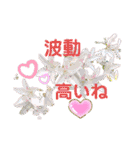 キラキラらぷりー（個別スタンプ：11）