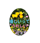 キラキラらぷりー（個別スタンプ：17）