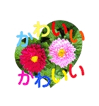 キラキラらぷりー（個別スタンプ：18）