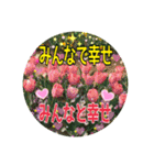 キラキラらぷりー（個別スタンプ：21）