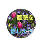 キラキラらぷりー（個別スタンプ：26）