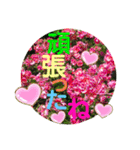 キラキラらぷりー（個別スタンプ：29）