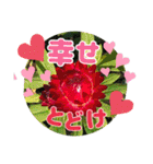 キラキラらぷりー（個別スタンプ：35）