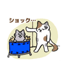 モフねこミュージシャン(JAZZ 2)（個別スタンプ：11）