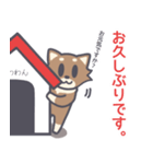 チョコタンのちわわん♪日常スタンプ2（個別スタンプ：33）