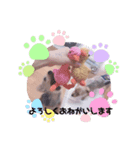 ヨークシャーテリア 仕事で使える（個別スタンプ：4）