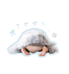 ゆひぽよ1.8スタンプ（個別スタンプ：20）
