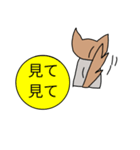 ケンタの可愛い犬のスタンプ（個別スタンプ：9）