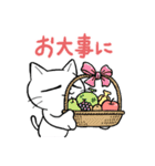 猫のタマミヤ（個別スタンプ：5）