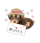 ♡おまめちゃん（個別スタンプ：4）