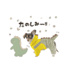 ♡おまめちゃん（個別スタンプ：5）