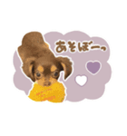 ♡おまめちゃん（個別スタンプ：6）
