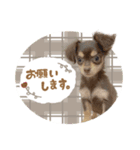 ♡おまめちゃん（個別スタンプ：7）