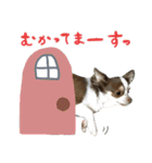 ふぅちゃん＆もかちゃんスタンプ（個別スタンプ：5）