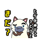 青ヒゲ猫 ヒゲミツ1（個別スタンプ：7）