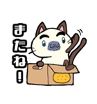 青ヒゲ猫 ヒゲミツ1（個別スタンプ：9）