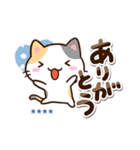 小さい三毛猫☆冬【カスタム】（個別スタンプ：24）