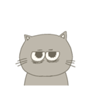 猫みたいな猫1（個別スタンプ：12）
