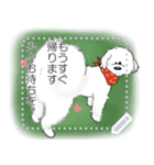 WhiteDog Message（個別スタンプ：4）