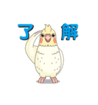 ハイブリッドなオカメインコ（個別スタンプ：3）