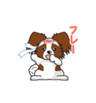 Papillon パピヨン Ver2（個別スタンプ：18）