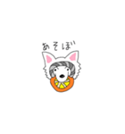 ミントとライムというチワワのスタンプです（個別スタンプ：2）