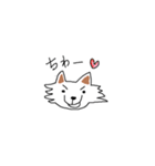 ミントとライムというチワワのスタンプです（個別スタンプ：7）