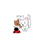 ミントとライムというチワワのスタンプです（個別スタンプ：13）