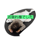 ＃29（個別スタンプ：16）