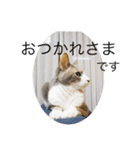 ちょびとまる2（個別スタンプ：6）