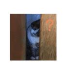 駄猫トマトの普段使えそうな挨拶スタンプ（個別スタンプ：21）