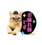 メルちゃん(^^)スタンプ（個別スタンプ：1）
