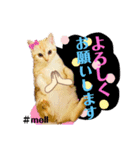メルちゃん(^^)スタンプ（個別スタンプ：3）