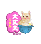メルちゃん(^^)スタンプ（個別スタンプ：9）