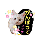 メルちゃん(^^)スタンプ（個別スタンプ：10）