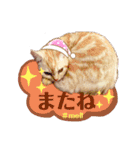 メルちゃん(^^)スタンプ（個別スタンプ：19）